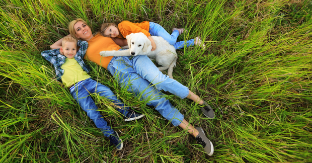 Personality type awareness helps mom understand her kids behavior when playing with the new puppy